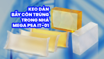 KEO DÁN BẪY CÔN TRÙNG TRONG NHÀ MEGA PSA IT-01