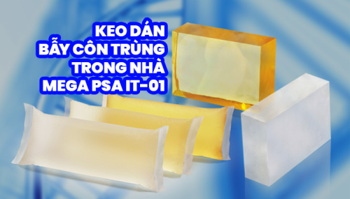 KEO DÁN BẪY CÔN TRÙNG TRONG NHÀ MEGA PSA IT-01