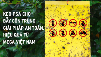 KEO PSA CHO BẪY CÔN TRÙNG – GIẢI PHÁP HIỆU QUẢ, AN TOÀN TỪ MEGA VIỆT NAM
