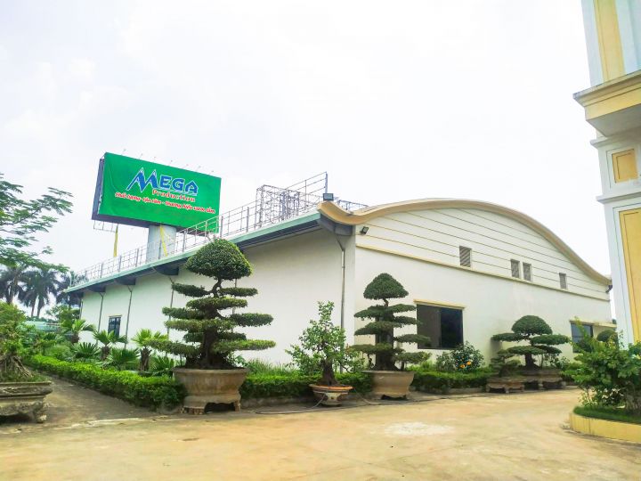 NĂNG LỰC SẢN XUẤT